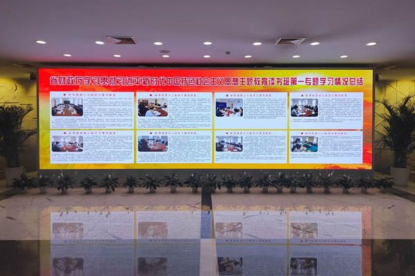 國(guó)內(nèi)有哪些COB顯示屏廠家做得比較好的？
